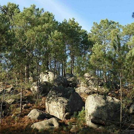 Maison De Campagne - Bois Le Roi 4 Pers Экстерьер фото