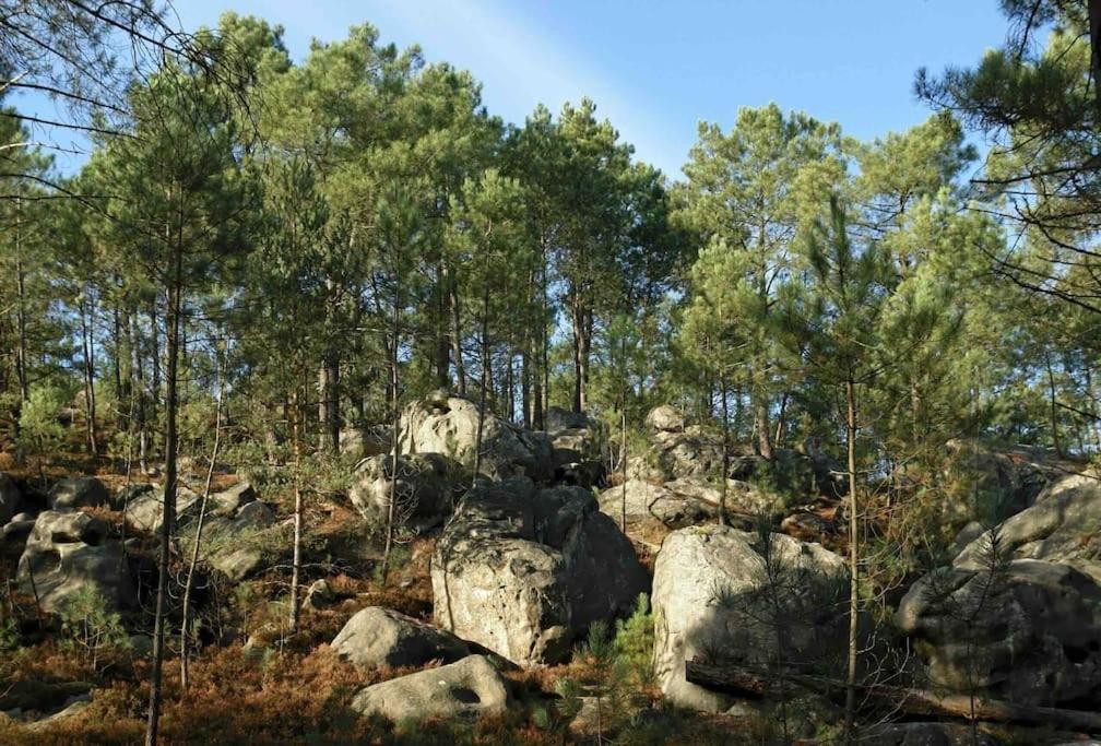Maison De Campagne - Bois Le Roi 4 Pers Экстерьер фото
